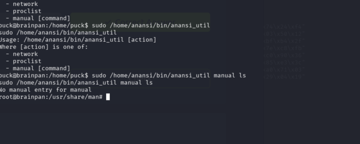 Pager escape with !/bin/bash typed at the bottom prompt